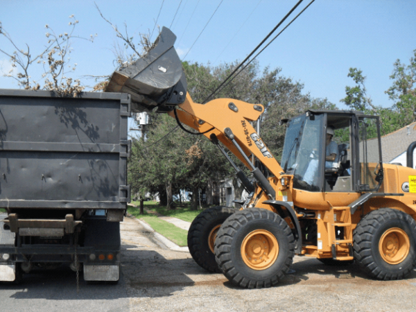 Tree debris being dumped in a dump truck